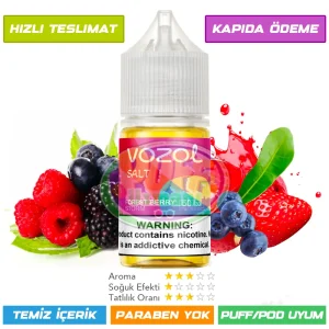 Vozol Likit Orman Meyveleri Aromalı 30ml