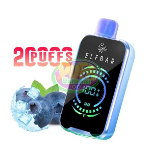 Elf Bar 20000 Puff Raya D2 Serin Yaban Mersinli