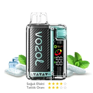 Vozol 20000 Puff Vista Naneli (Miami Mint)