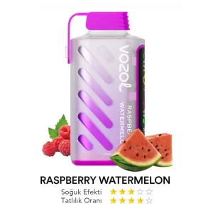 Vozol 20000 Puff Gear Power Ahududu Karpuz