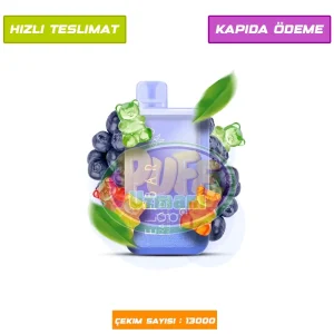 Elf Bar 13000 Raya D1 Blueberry Gami